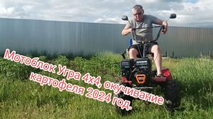 Мотоблок Угра 4х4, окучивание картофеля 2024 год