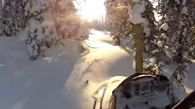 Непбольшой Елкинг смотреть онлайн