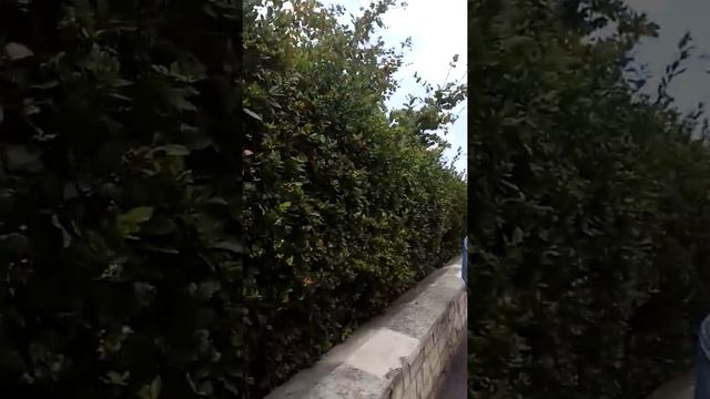 Стамбул смотреть онлайн