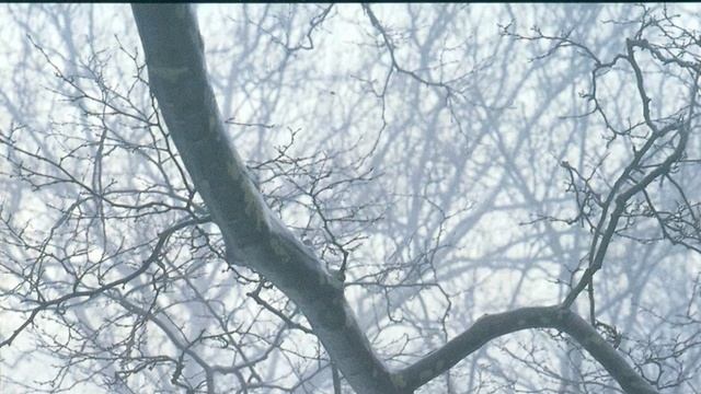 Piano Sonata in B-Flat Minor: II. Mazurka: Moderato смотреть онлайн