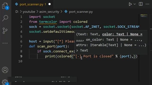 Port scanner in Python смотреть онлайн