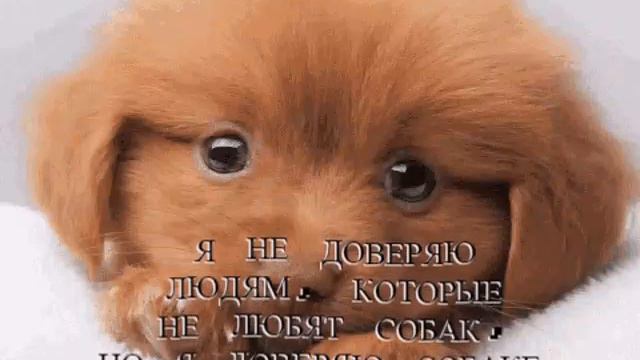 16 декабря 2022 г. смотреть онлайн