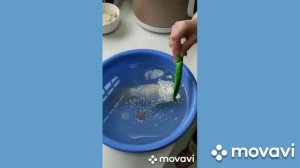 Пептиды от Whieda