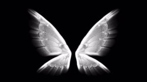Футаж Крылья Бабочки