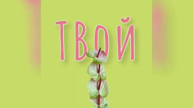 Выпуск 1|Зачем ходить на мастер-классы по флористике и что такое сезонный цветок? смотреть онлайн