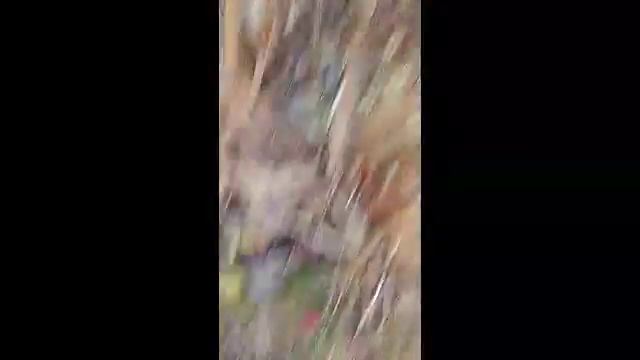 РАЗБИЛИ МОНИТОР?!, НАС СПАЛИЛИ?! смотреть онлайн