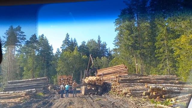 Неожиданный сюрприз ! На лесные дороги на машине, лучше не соваться ⛔ смотреть онлайн