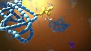 Строение живой клетки.