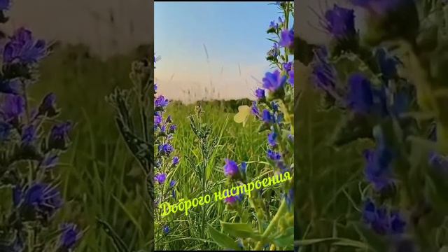 19 января 2024 г. смотреть онлайн