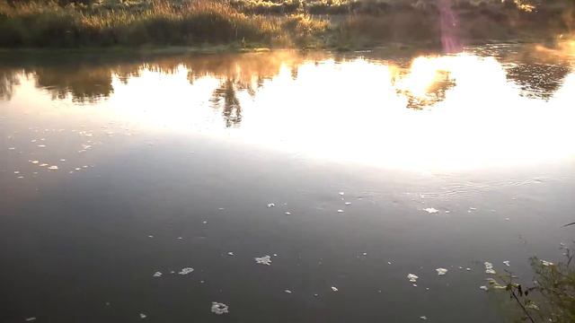 р.Сал смотреть онлайн