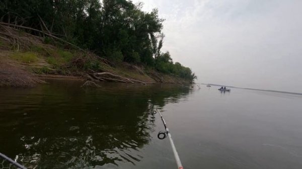Рыбалка в Астрахани. Ловля сазана в коряжнике