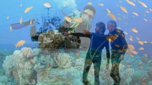 Детям о профессии океанолога