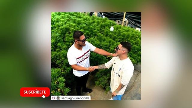 El ExNovio De Valentina Trespalacios Y La Estafa Millonaria Que Nunca Se Supo смотреть онлайн