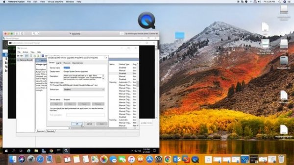 Google Update Service (gupdate)