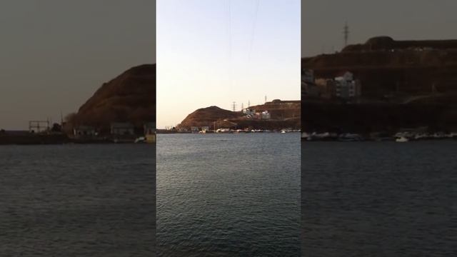 Косатки во Владивостоке.MOV смотреть онлайн
