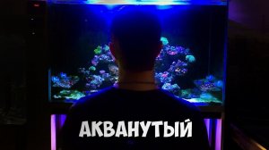 Морской аквариум