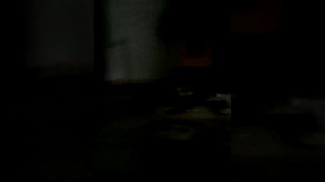 Мой кот и мой ноутбук смотреть онлайн