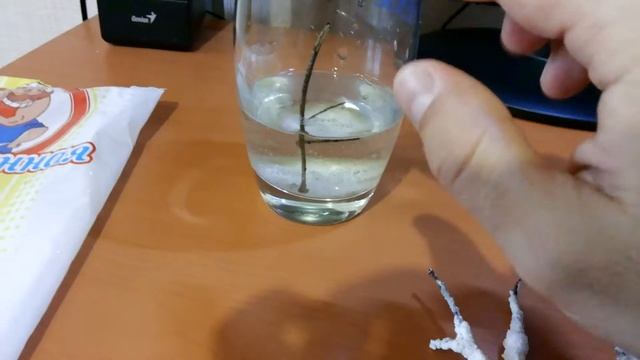 Дерево из соли смотреть онлайн