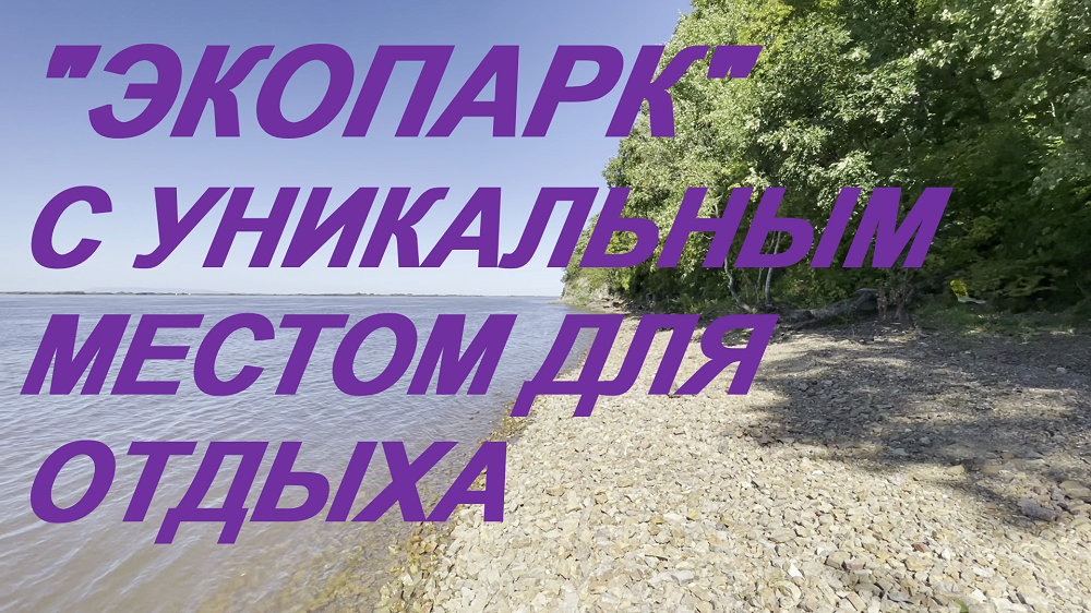 Экопарк бывший пионерский лагерь Чайка.mp4 смотреть онлайн