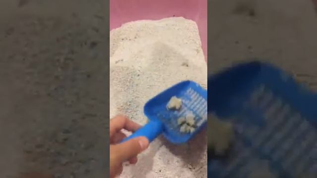 Наполнитель комкующийся Van Cat смотреть онлайн