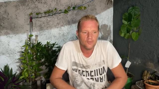 Как открыть банковскую карту в Мексике: Рассказываем о сложностях и возможностях смотреть онлайн