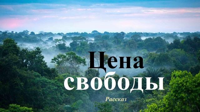 Цена свободы.. (рассказ)