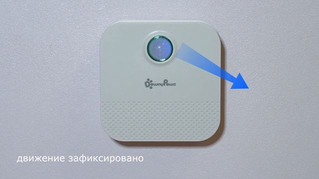 Очень личные дела кота /Personal files of the cat смотреть онлайн