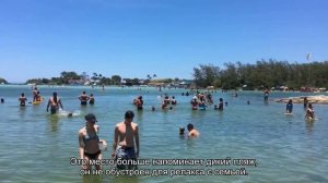 О пляжах Санкт-Петербурга где можно купаться: пляжи Финского залива и Петергофа