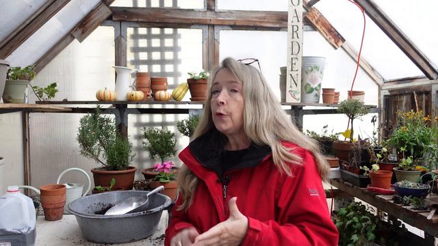Winter Sowing Tomato Seeds - A Garden Experiment! смотреть онлайн