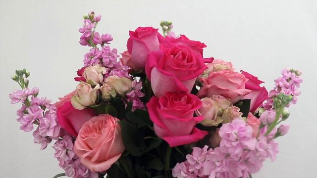 Pretty in Pink смотреть онлайн