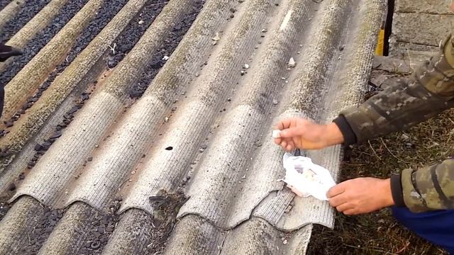 Приручение ворона смотреть онлайн