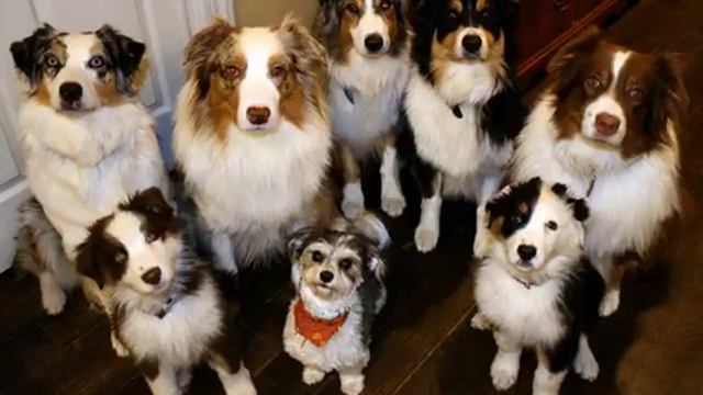 Слушать новую русскую музыку и фото онлайн смотреть онлайн