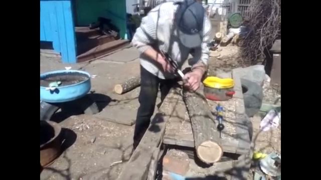 Выращивание грибов Шиитаке, Гериций на пнях Growing Shiitake mushrooms, Hericium on stumps смотреть онлайн