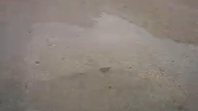 HidroStop on our road смотреть онлайн