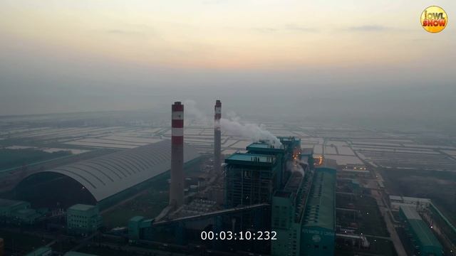 Что будет если посадить 1 000 000 000 000 деревьев? смотреть онлайн