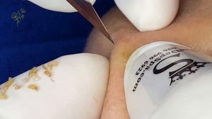 Satisfying Relaxing with Sac Dep Spa #403