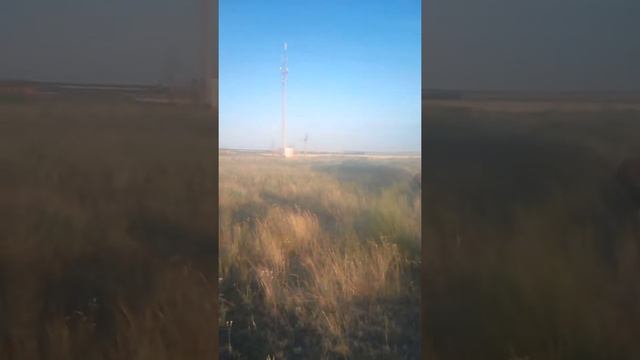 Зогнали корову смотреть онлайн