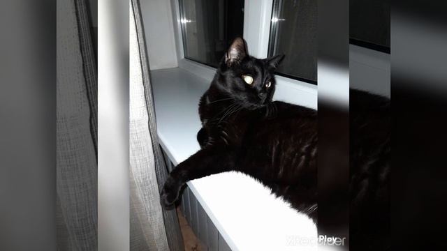 Любим отдыхать. смотреть онлайн