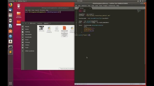 Computer Vision ගැන ඉගනගමු - OpenCV Simple Face Detection Sinhala | Part 5 смотреть онлайн
