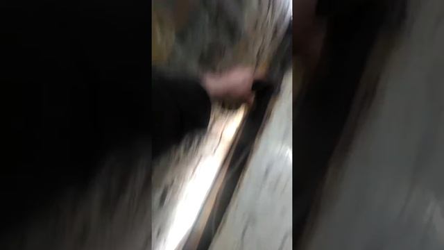 Коптильня камера из холодильника смотреть онлайн