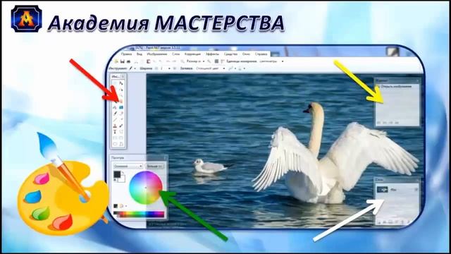 Графика, коррекция, дизайн. Вебинар Академии Мастерства от 20 02 2015 смотреть онлайн