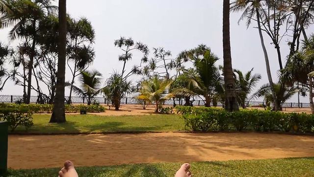 Royal Palm Beach Hotel Sri Lanka смотреть онлайн