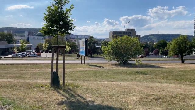 Влог прогулка по улицам города с реборном смотреть онлайн