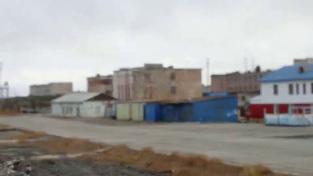 Мыс Шмидта  На работу и обратно 665