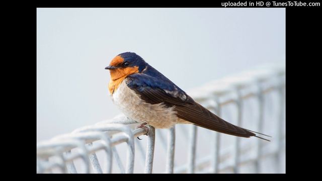 English File Pre-intermediate 2.51