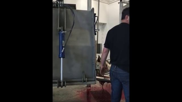 Бокс Халяль Halal смотреть онлайн