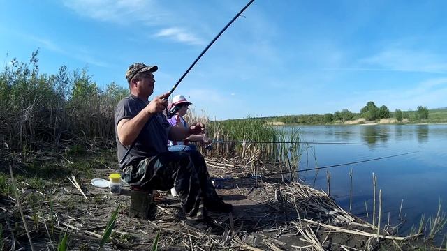 Майский карась на поплавочную удочку. смотреть онлайн