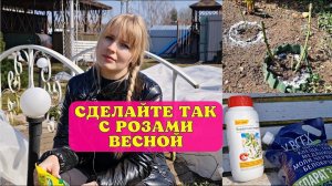 Это ВАЖНО СДЕЛАТЬ ВЕСНОЙ! Первая обработка роз ОТ БОЛЕЗНЕЙ И ВРЕДИТЕЛЕЙ и другие садовые хлопоты