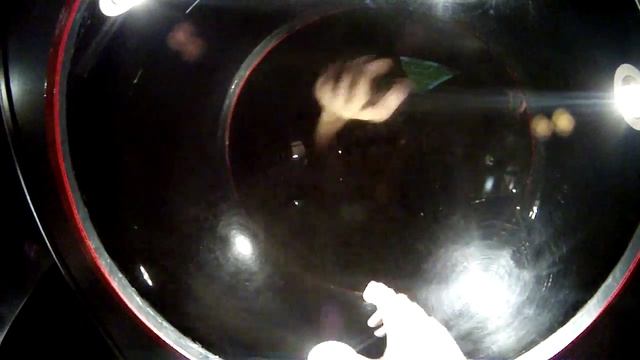 Камера Обскура/ Зеркало