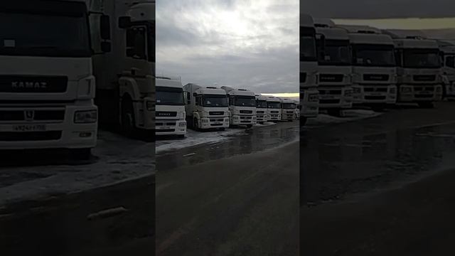 Агроавто, Быково, Раменский р-н. 2019 смотреть онлайн